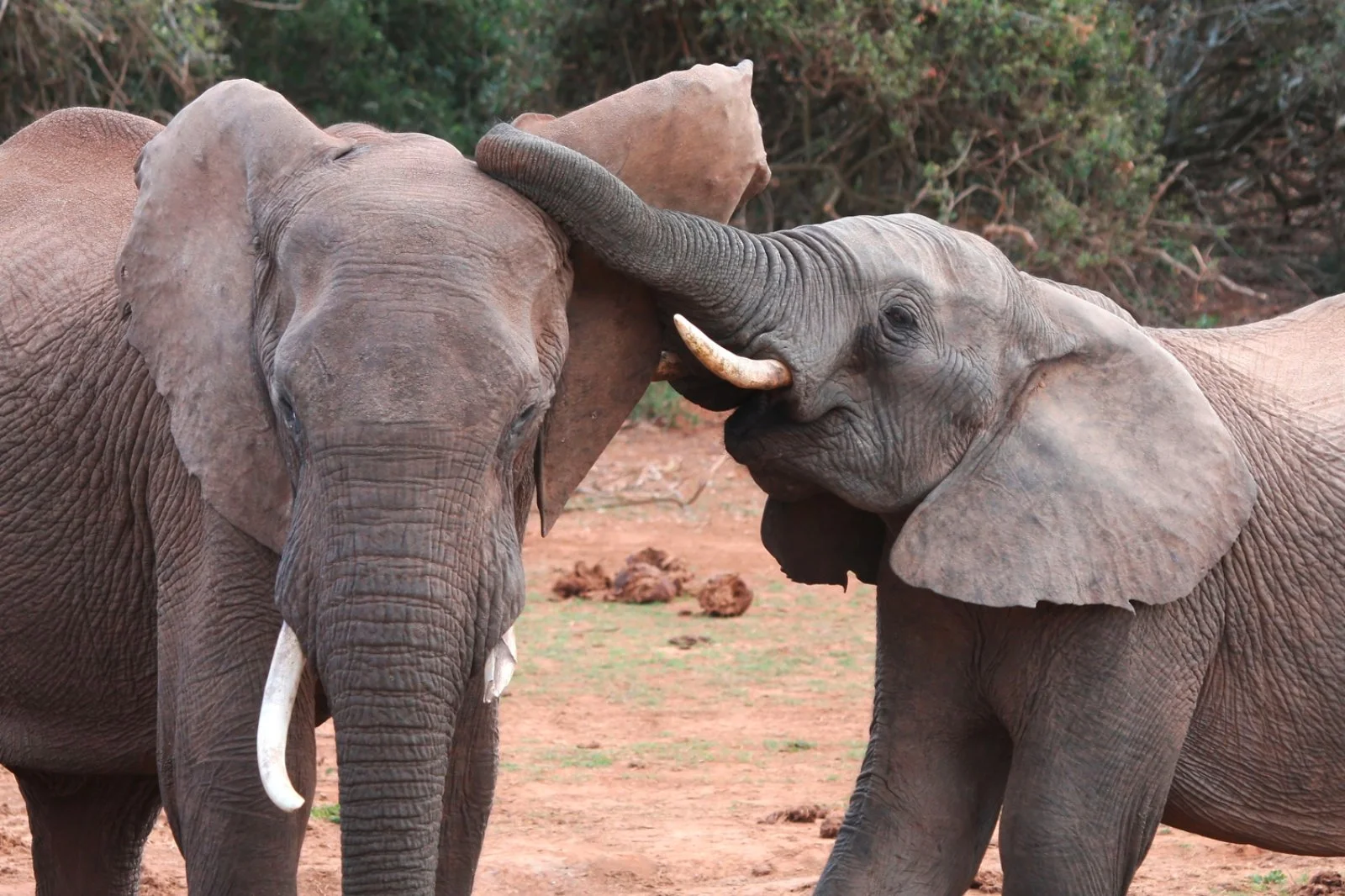 Mpumalanga - Johannesburg