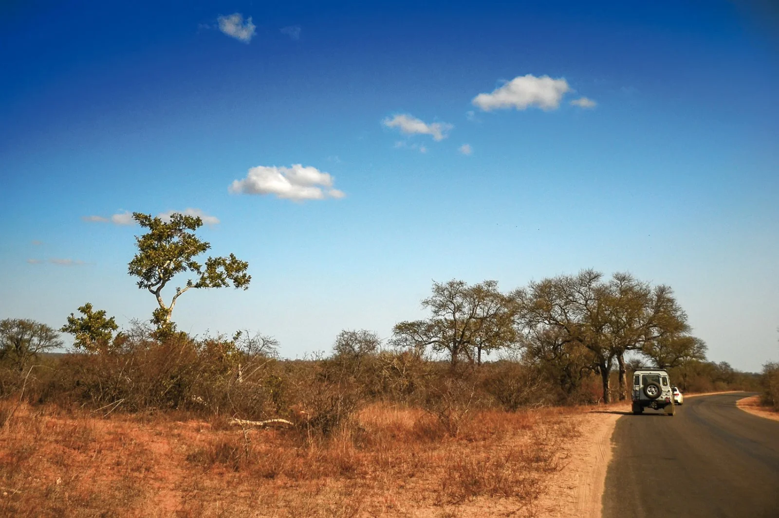 Riserva privata di Karongwe - Johannesburg
