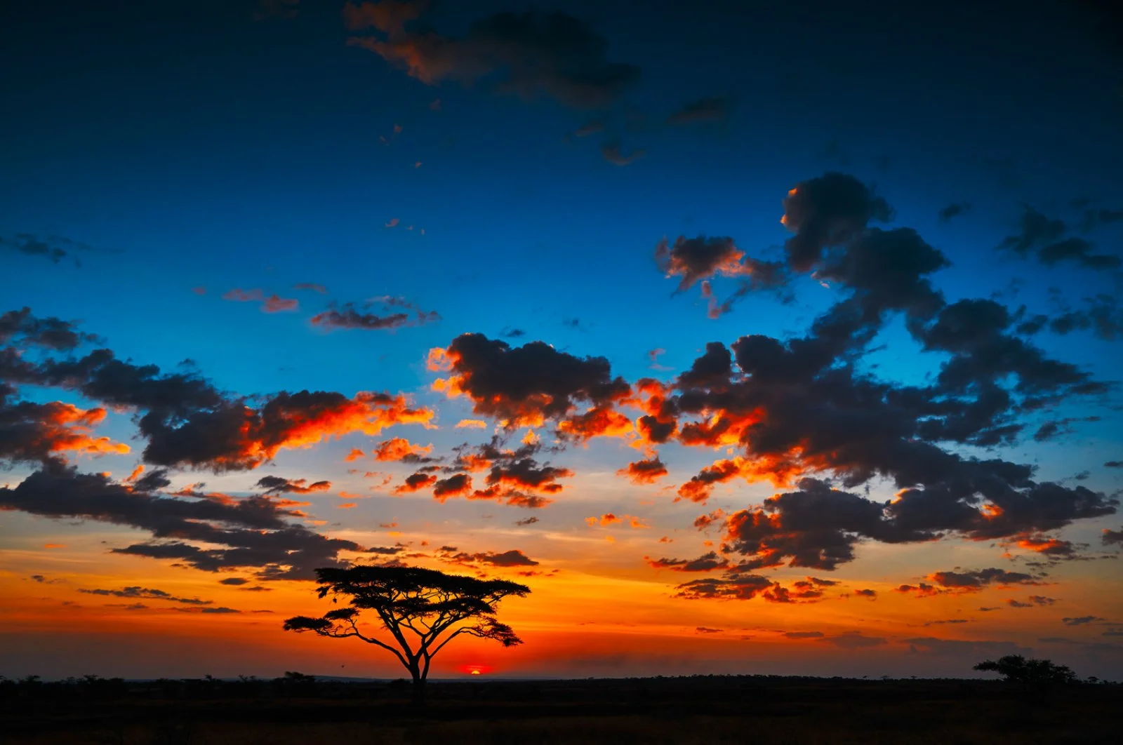 Riserva privata di Karongwe