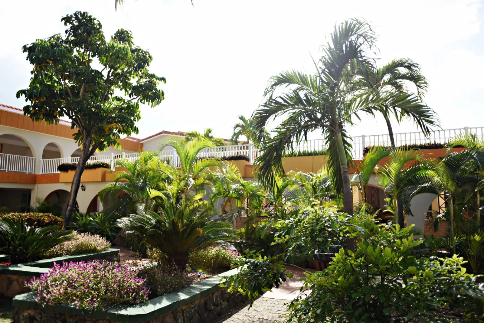 Starfish Las Palmas Hotel 