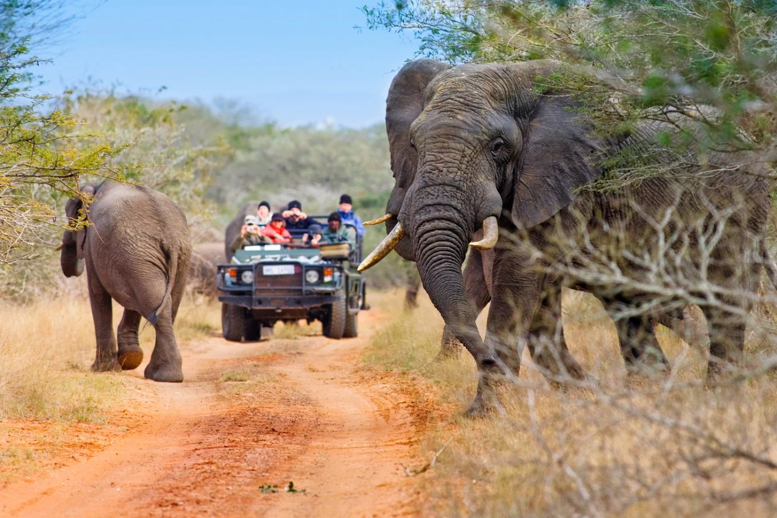 Città del Capo - Concessione Privata Parco Kruger