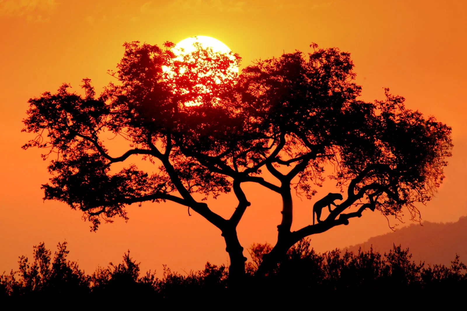 Cascate Vittoria - Johannesburg