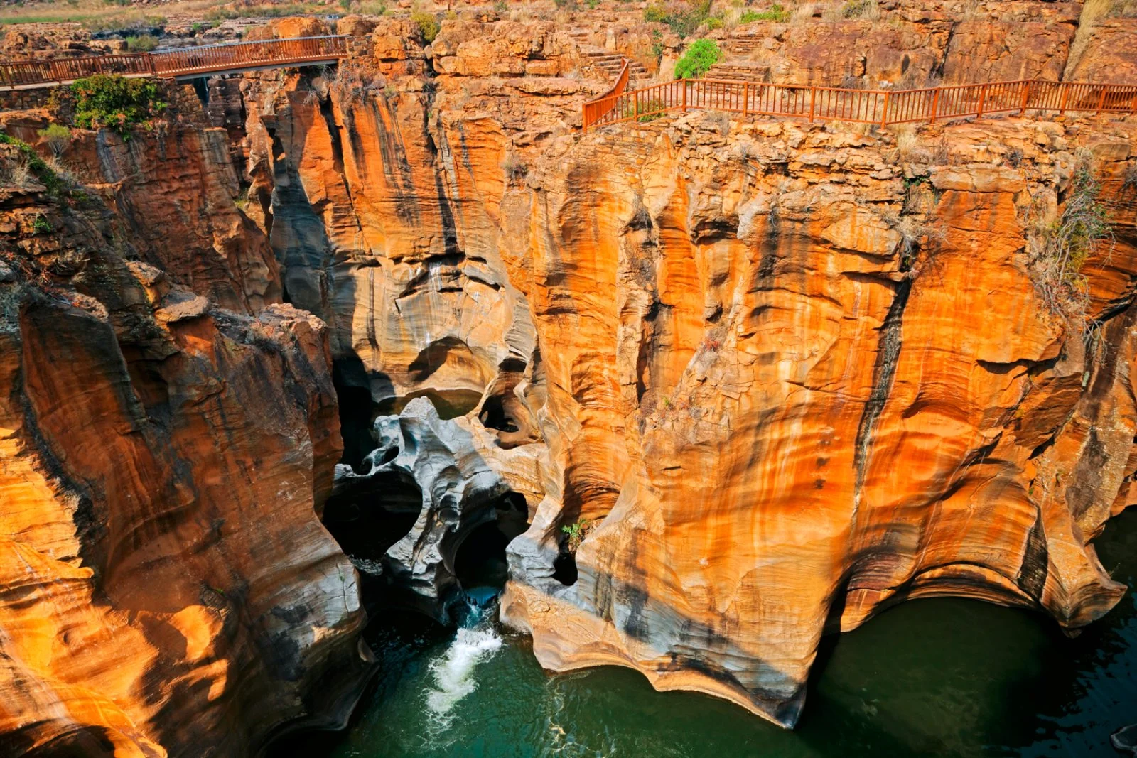 Mpumalanga - ”Elephant Whispers” - Johannesburg