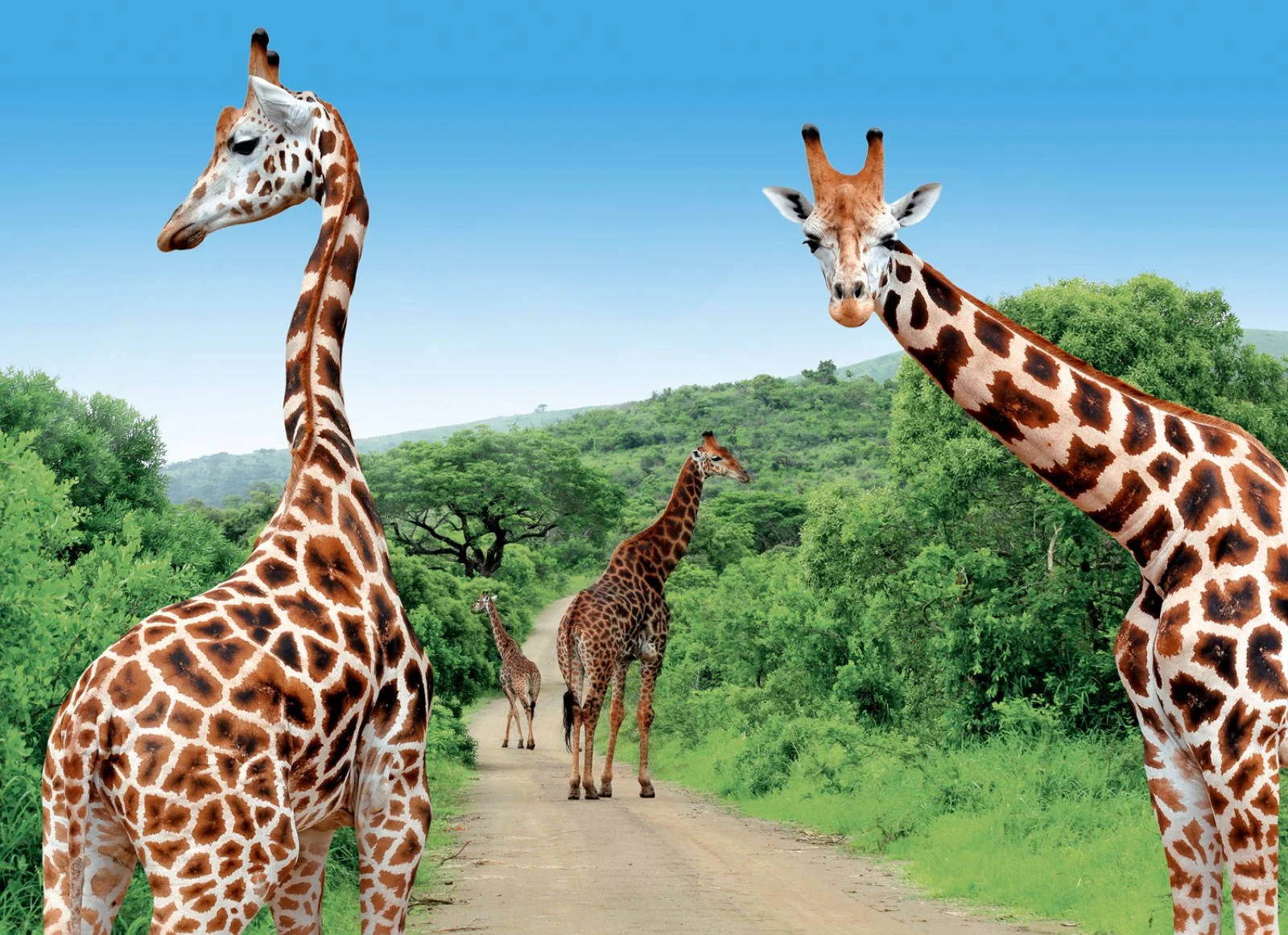 Città del Capo - Concessione Privata Parco Kruger