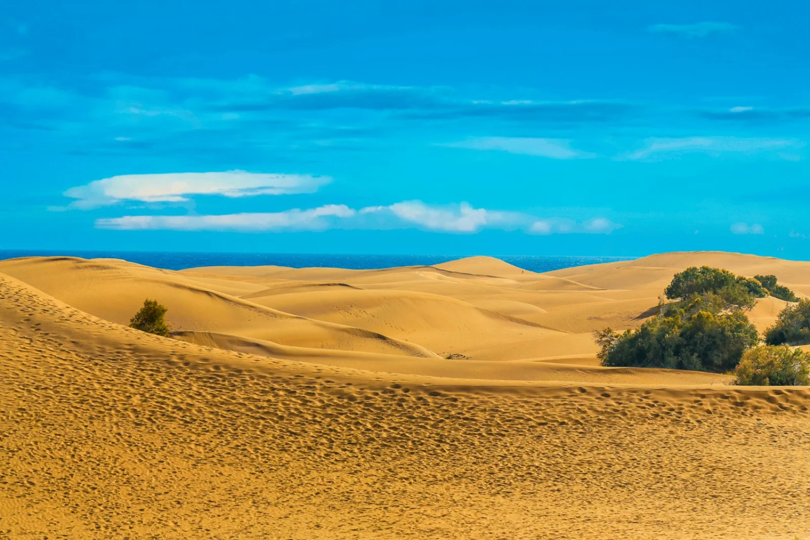 Alpiselect Abora Continental By Lopesan - Dune Di Maspalomas