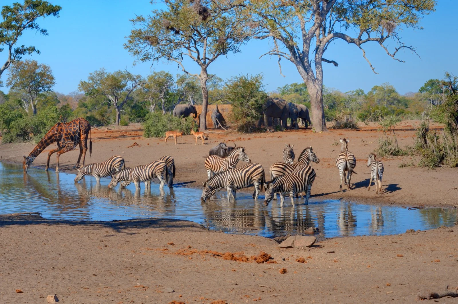 Concessione Privata Parco Kruger