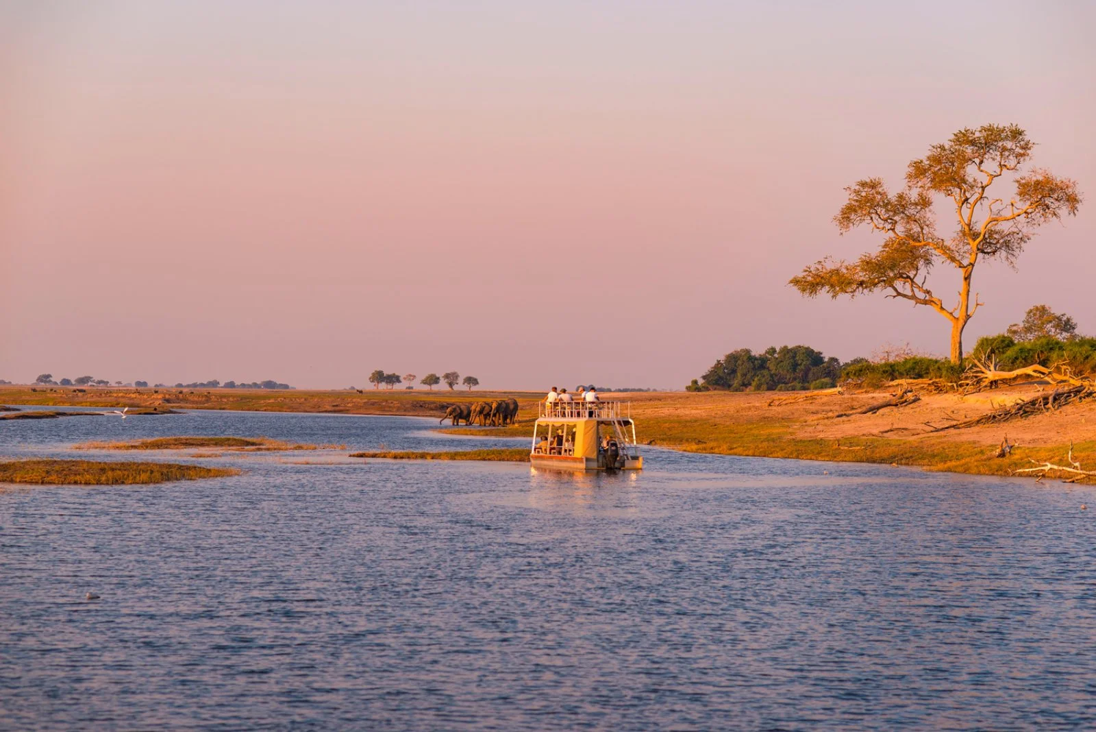Parco Chobe