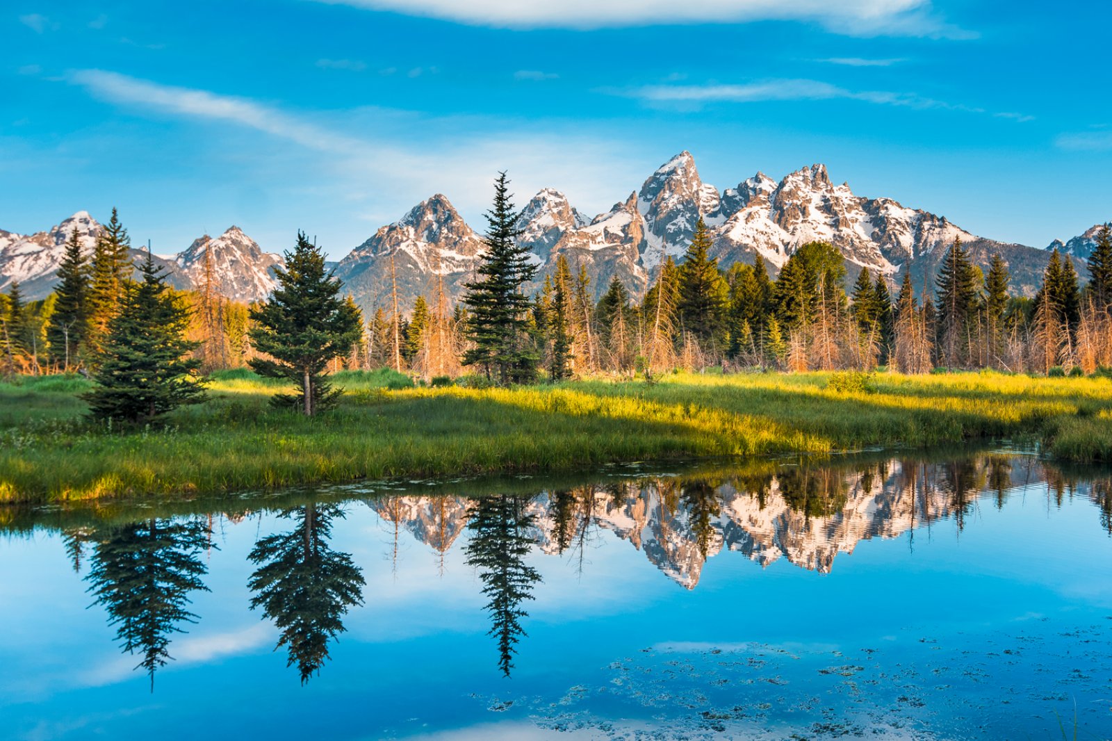 The Wild Wild West - Grand Teton National Park