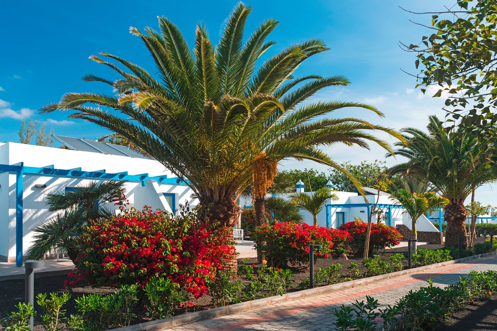 Elba Lanzarote Royal Village Resort 