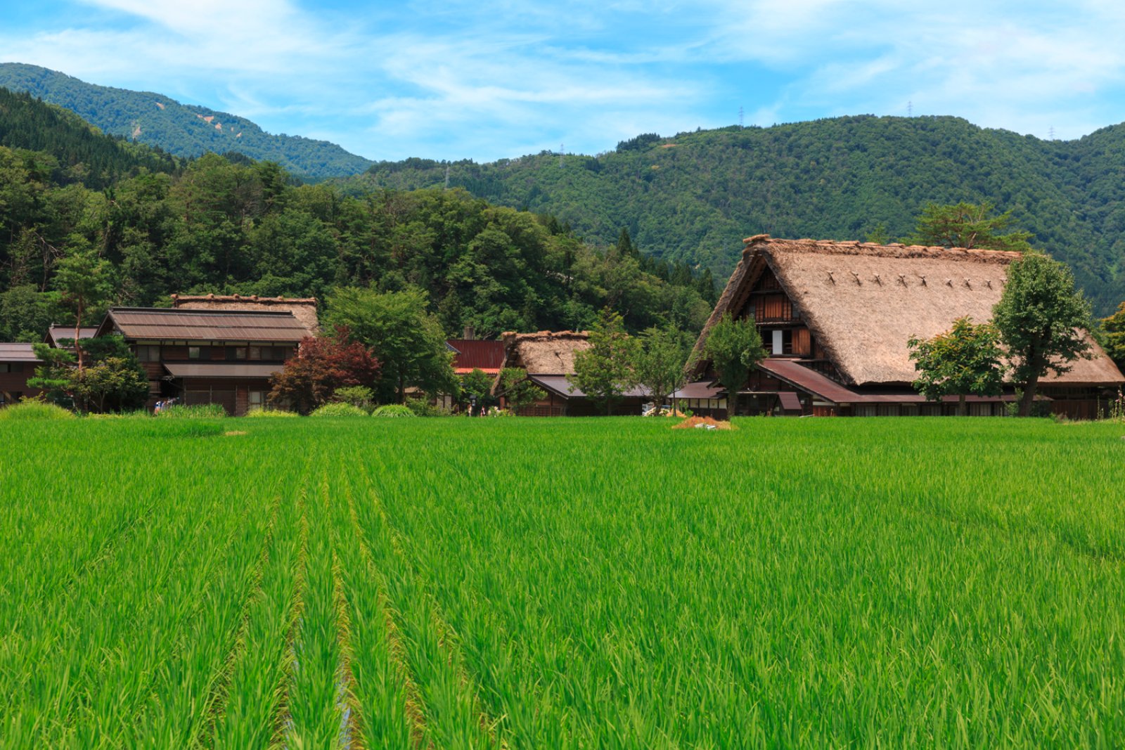 Voyager Japan - Shirakawa-Go