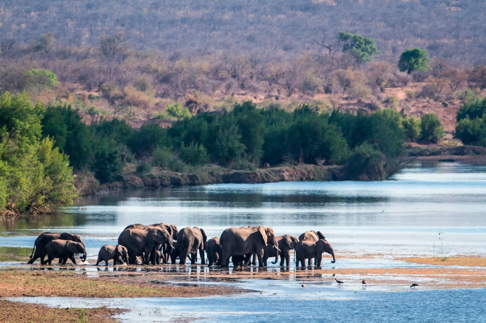 Riserva privata di Karongwe