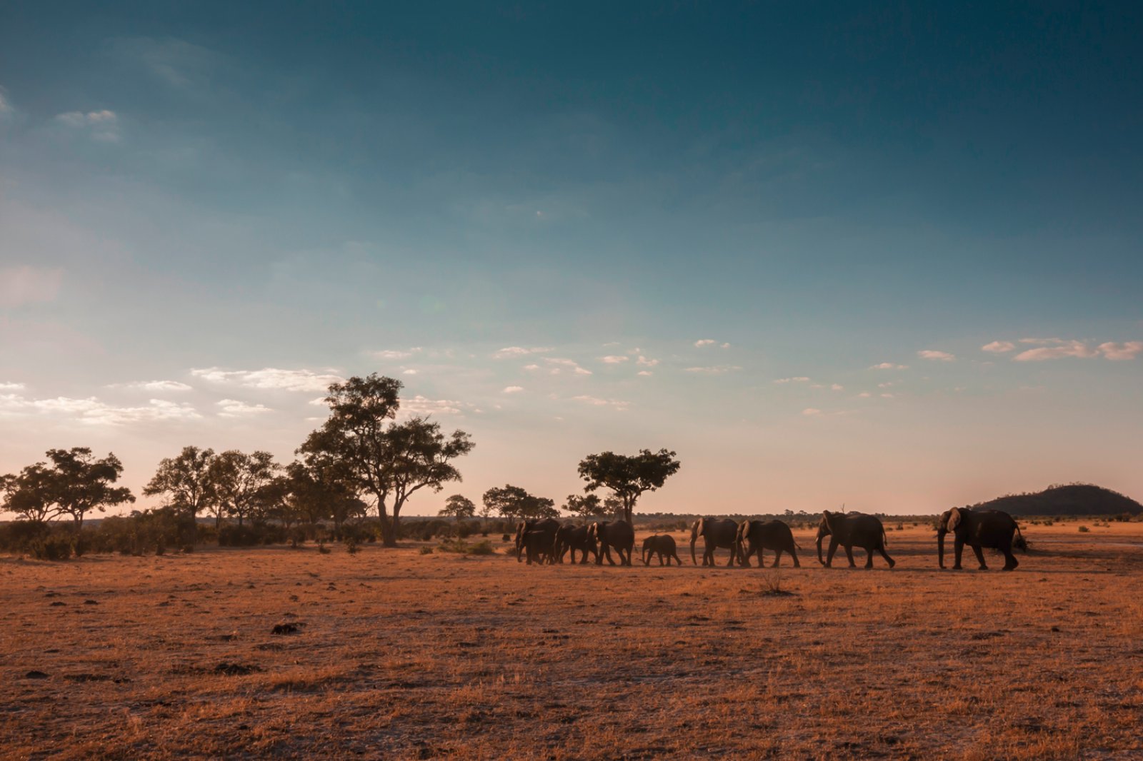 Magic Victoria E Chobe - Chobe National Park