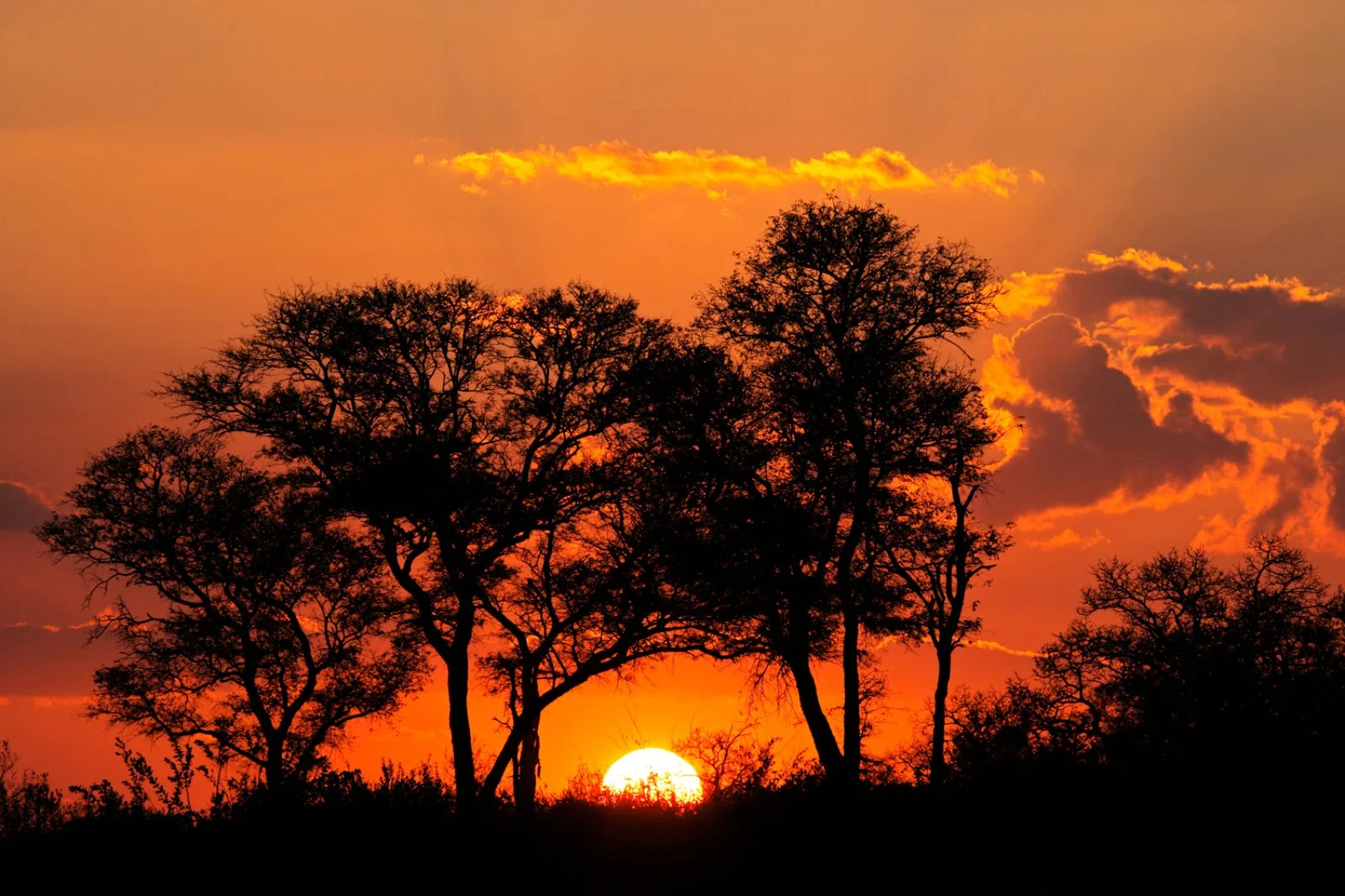 Mpumalanga - Panorama Route - Riserva privata di Karongwe