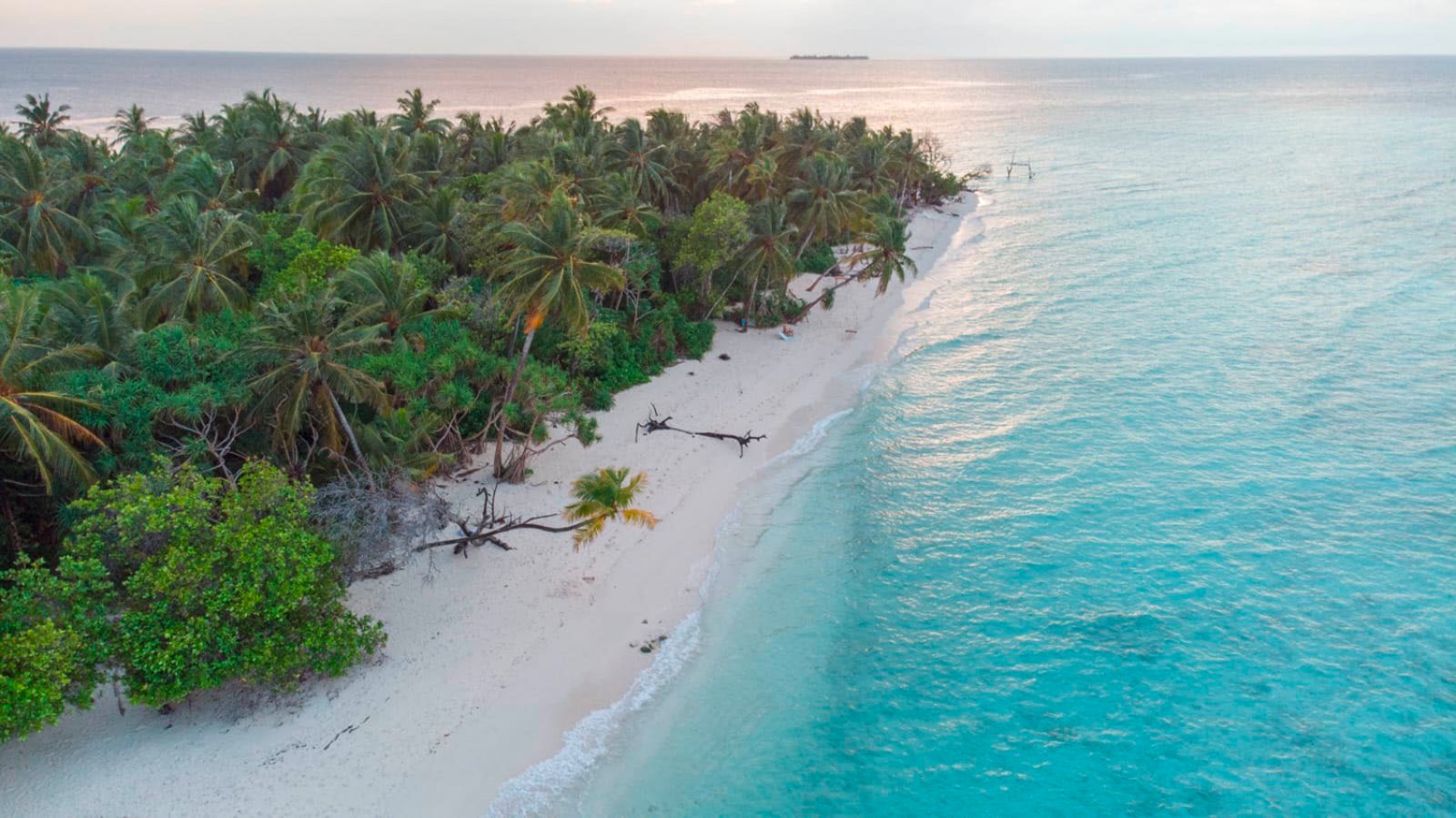 Guesthouse Diffusa A Omadhoo 