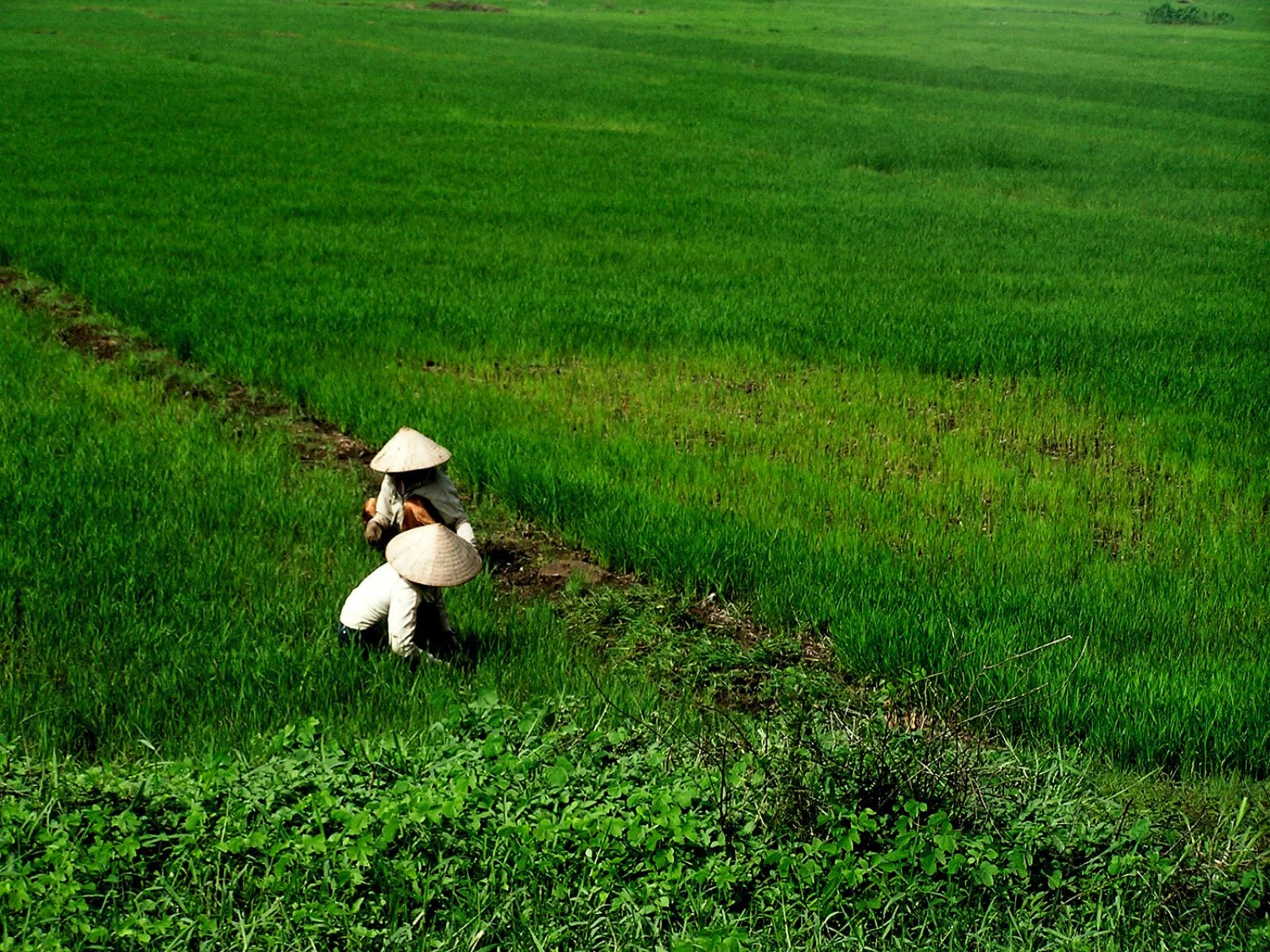 Gran Tour Del Vietnam - Hanoi