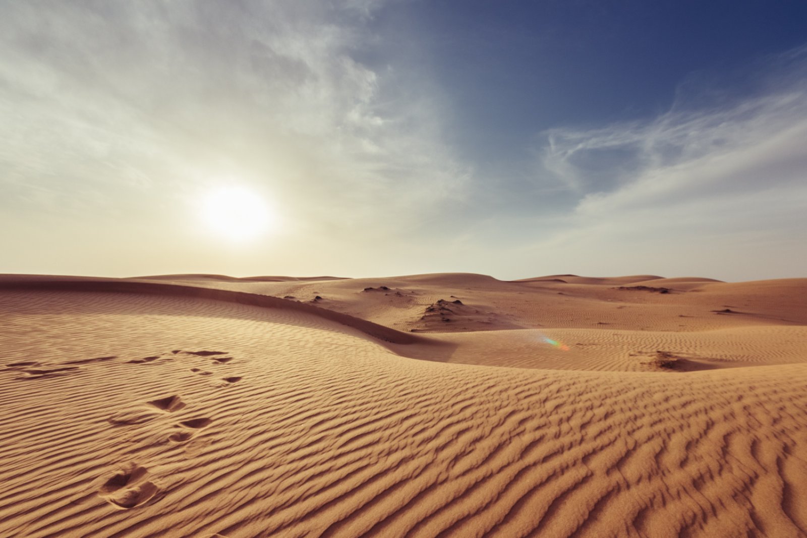 Intour Colori Dell'Oman - Deserto Di Wahiba