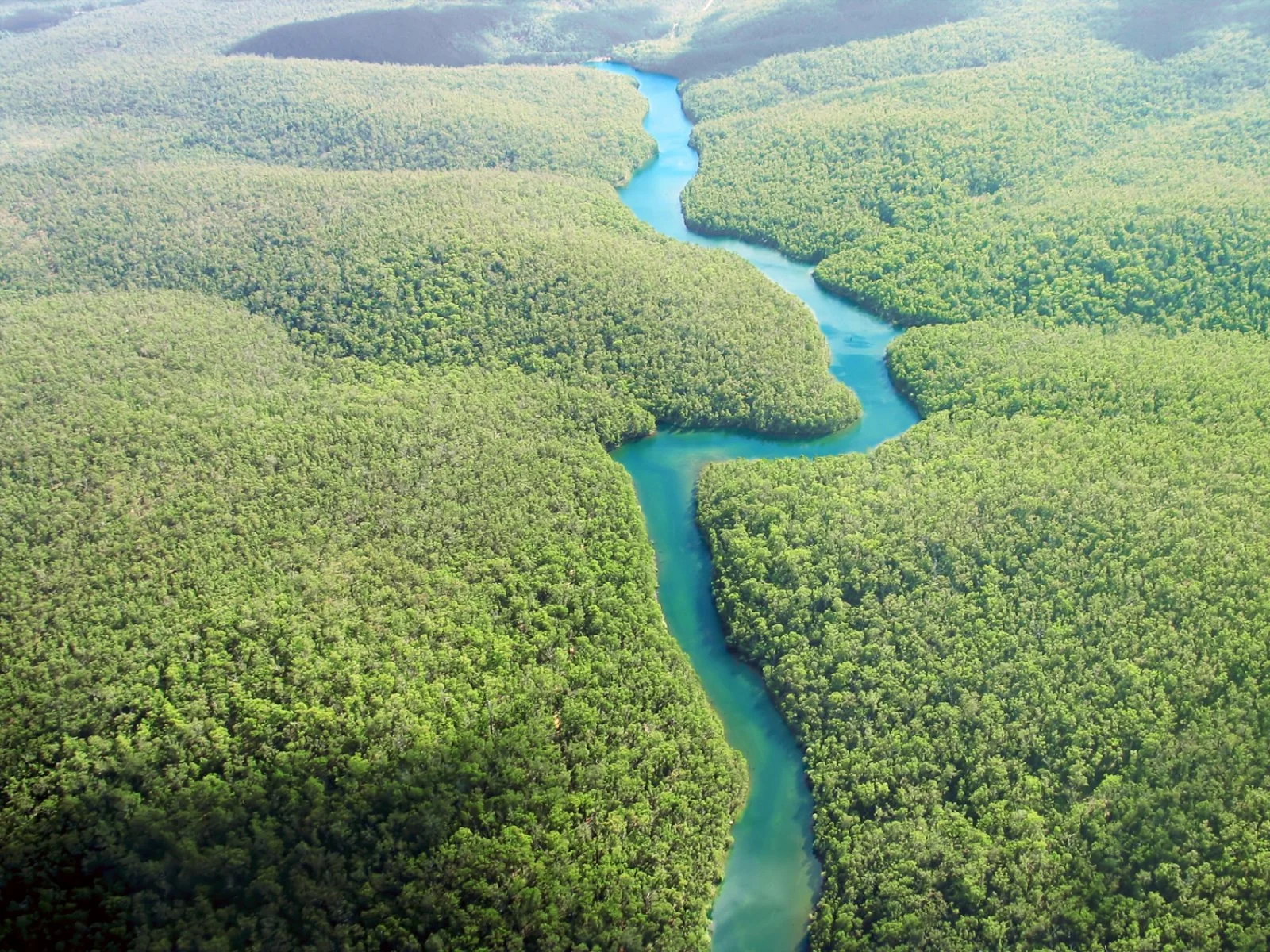 Rio delle Amazzoni