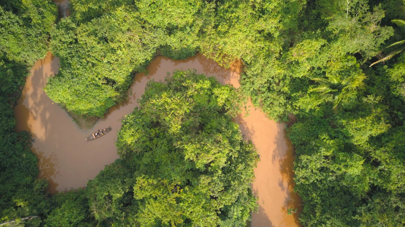 Amazzonia Amazzonia