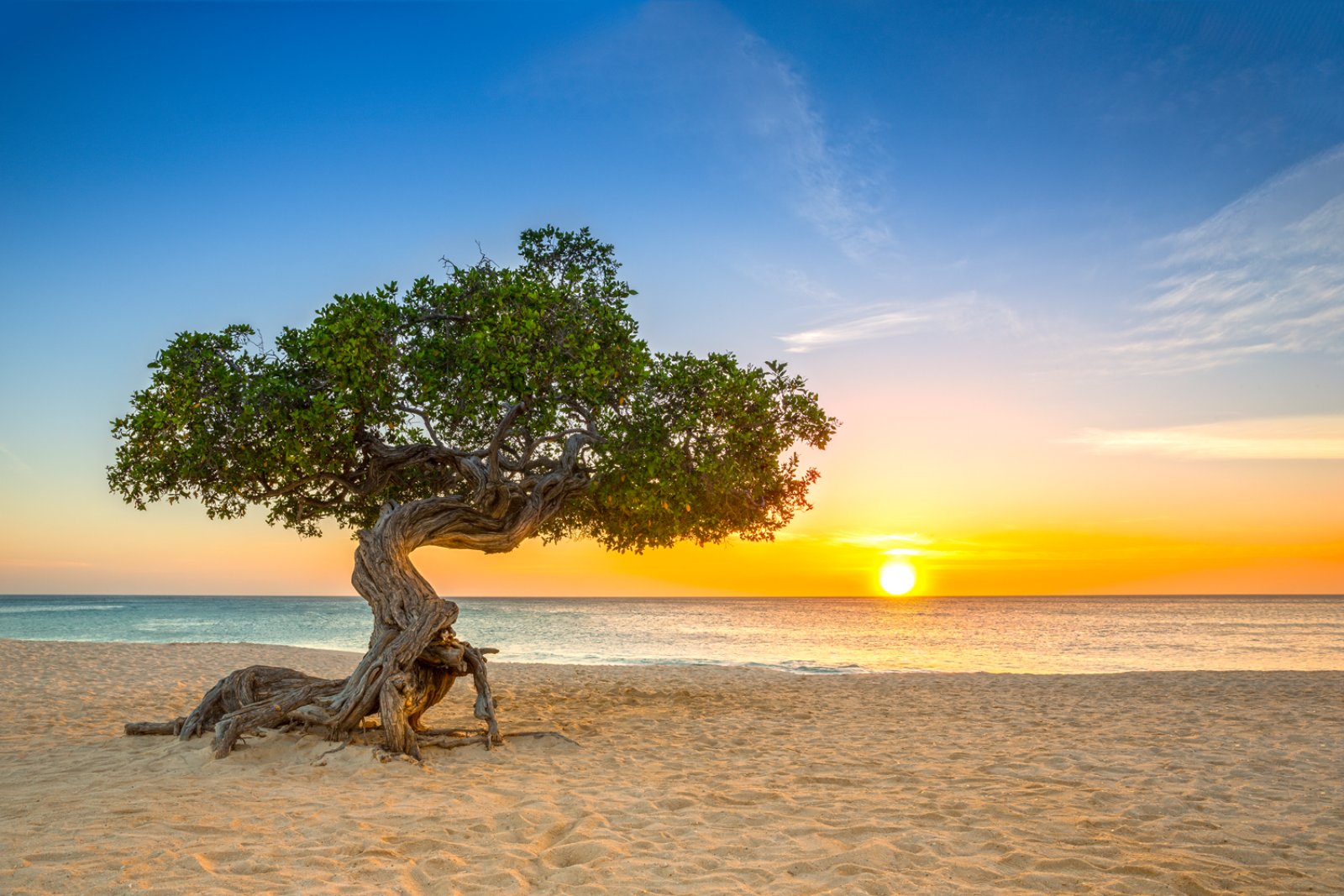 Peru' E Aruba 