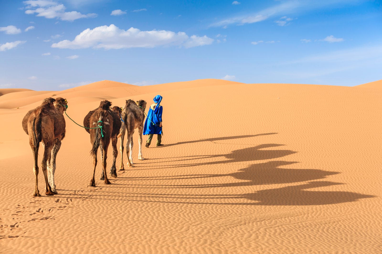 Sahara Express - Dune Di Merzouga  - Marocco