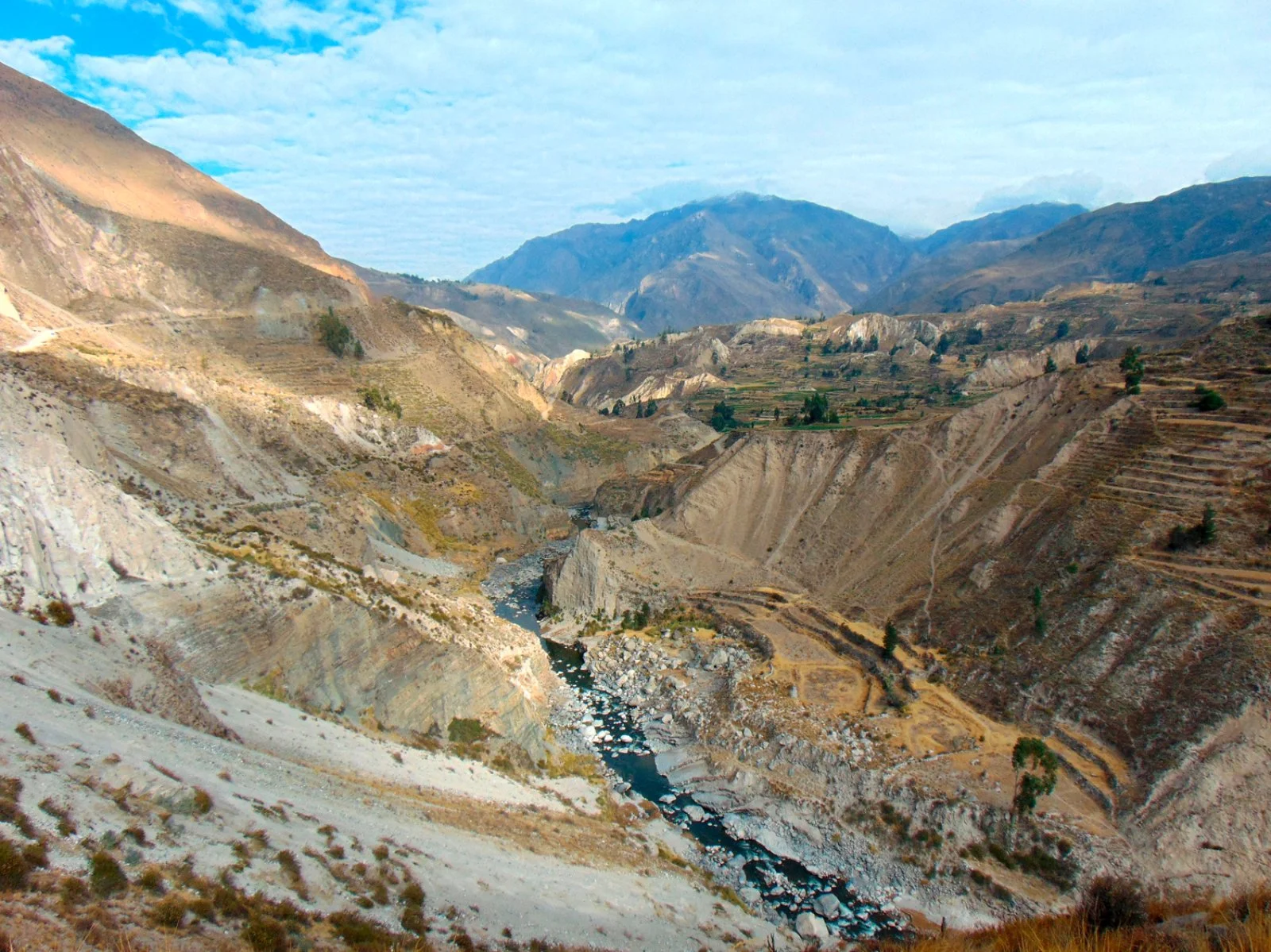 Canyon del Colca - Puno