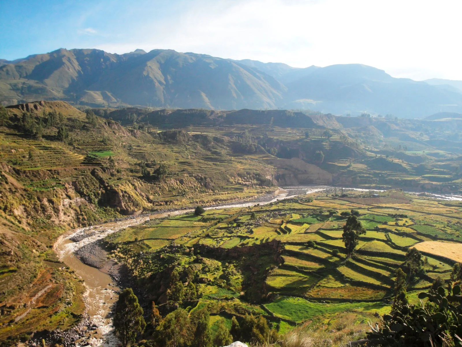 Canyon del Colca - Puno