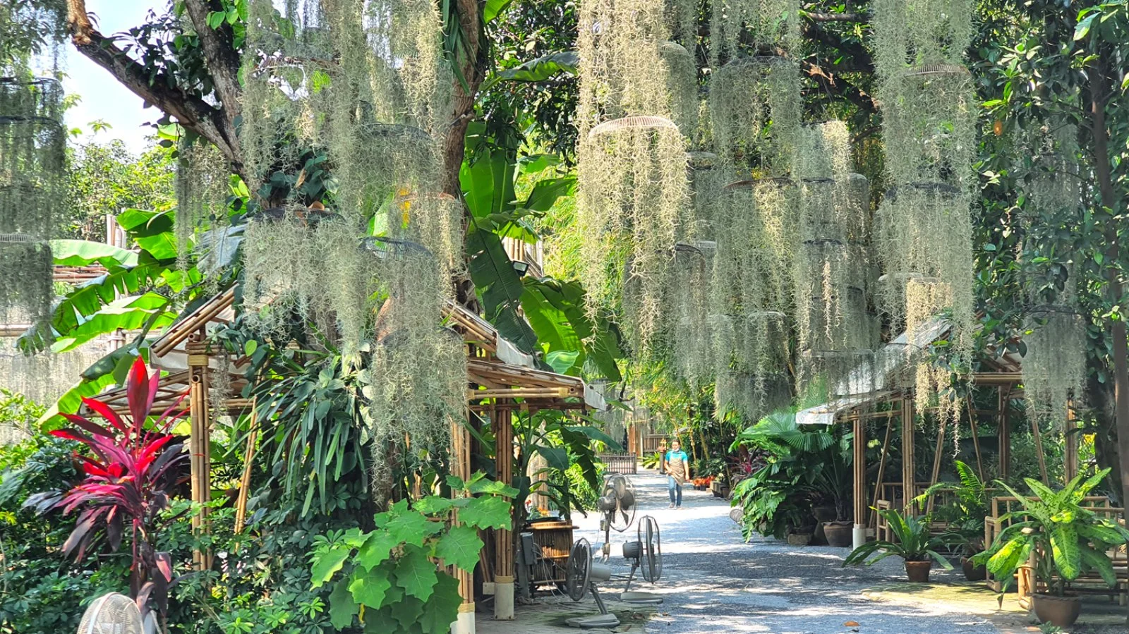 Bangkok