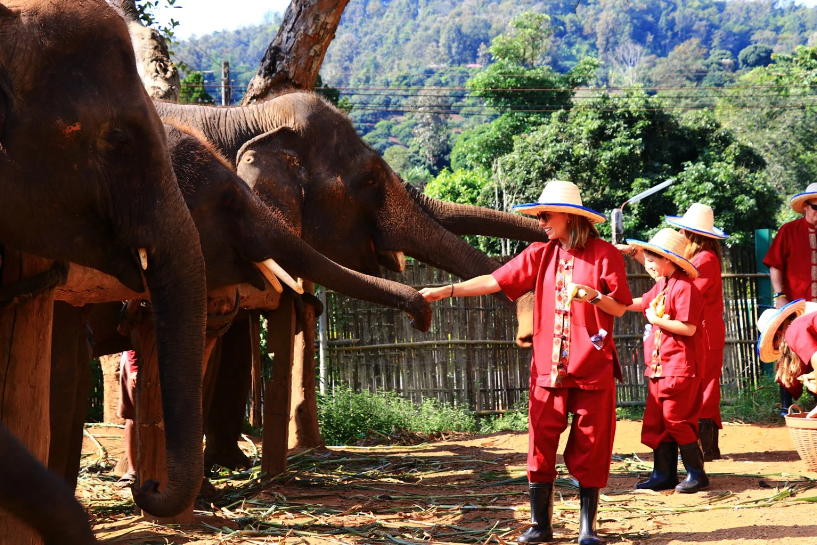 Chiang Mai - Pai