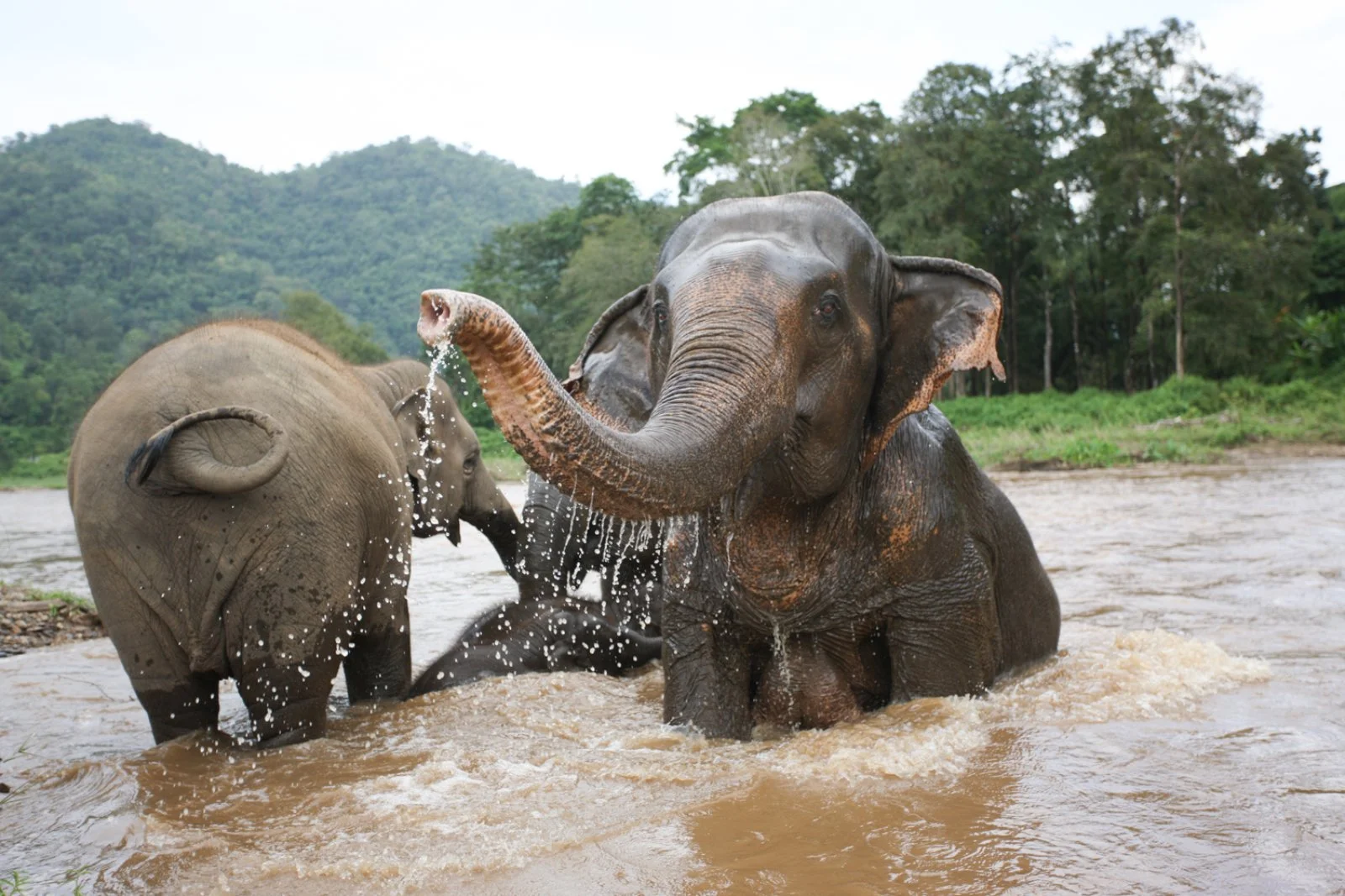 Chiang Mai - Pai