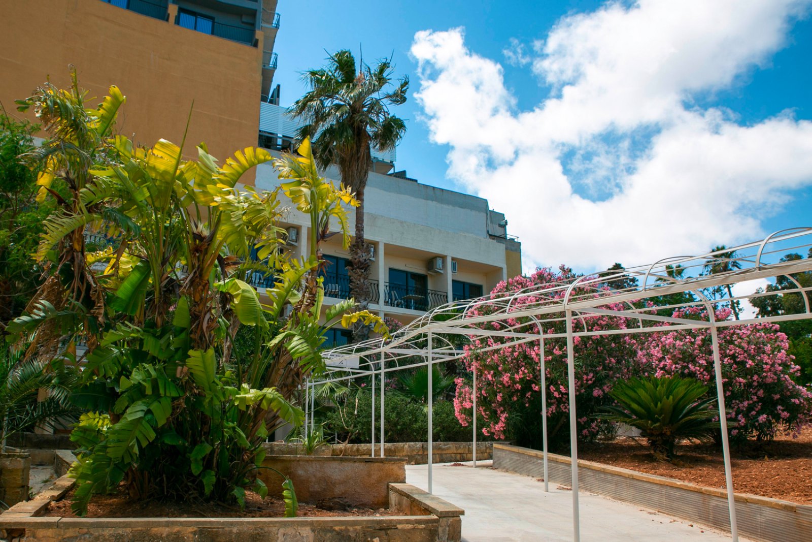 Beach Garden Hotel 