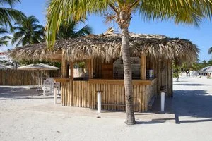 BAHIA PRINCIPE EXPLORE JAMAICA – Runaway Bay