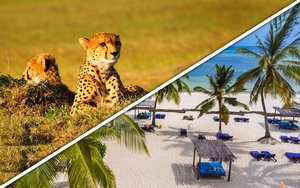 Circuit Safari L'Essentiel du Kenya + extension 4nts Bravo Club Watamu 4* Tout compris - Départs garantis