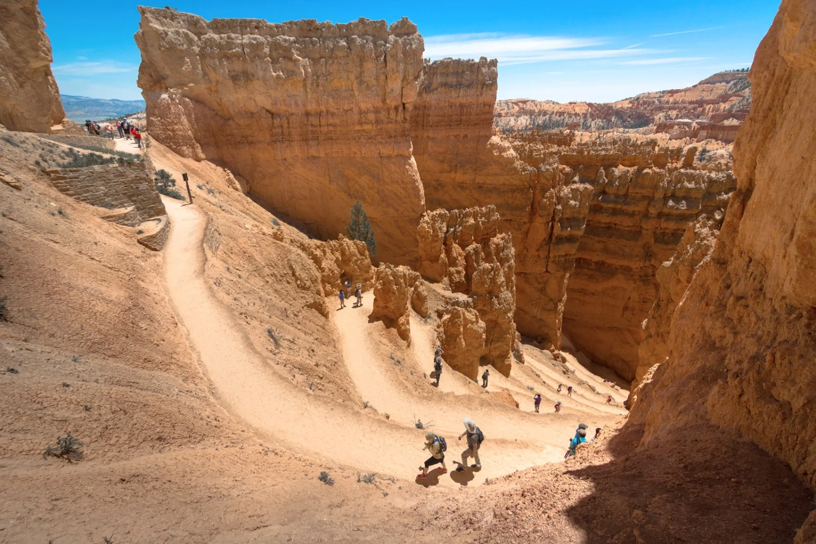 Bryce Canyon - Las Vegas - immagine 1 di 3