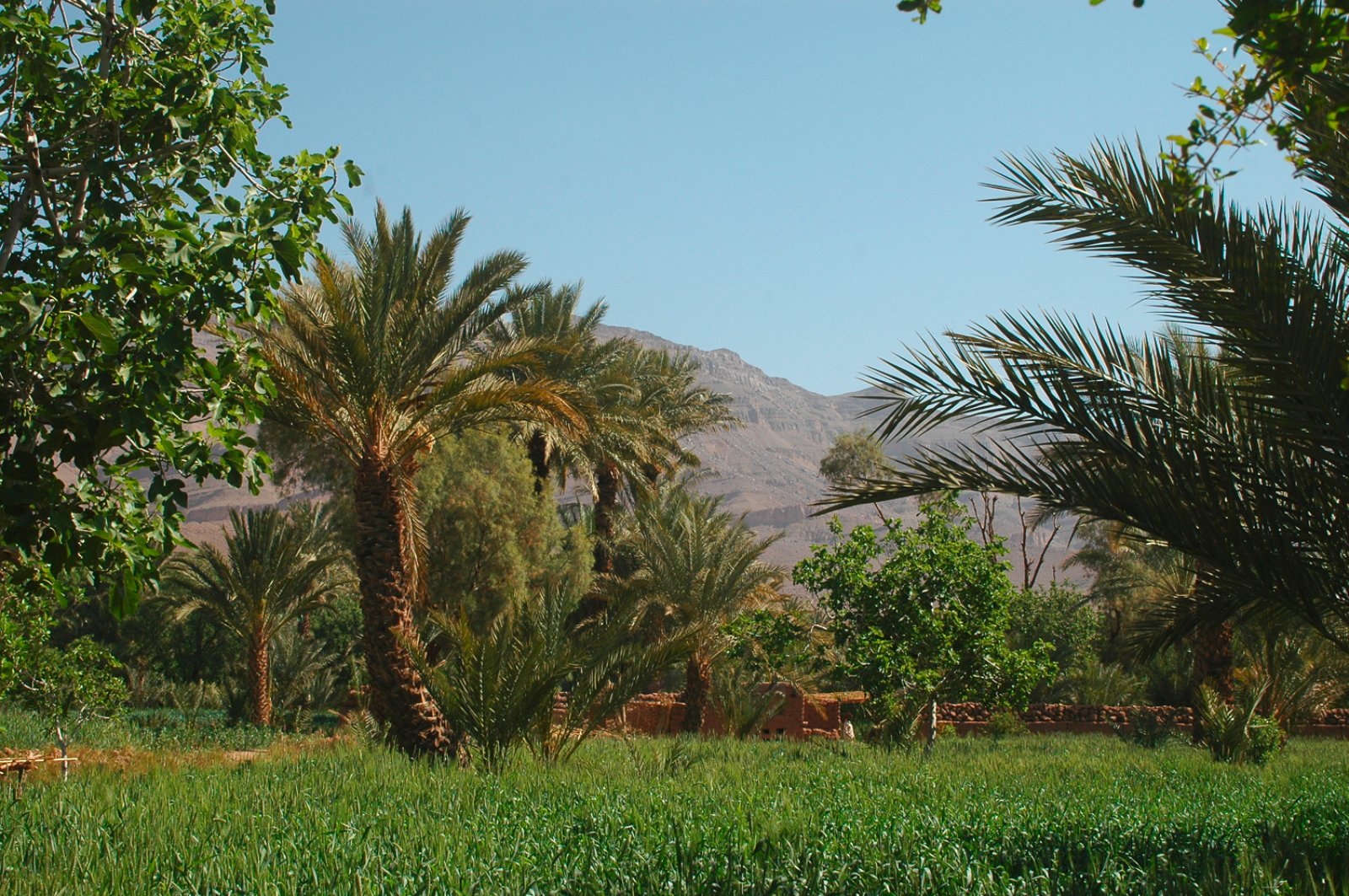 Zagora E Le Dune Di Chegaga - Zagora Et Palmeraie