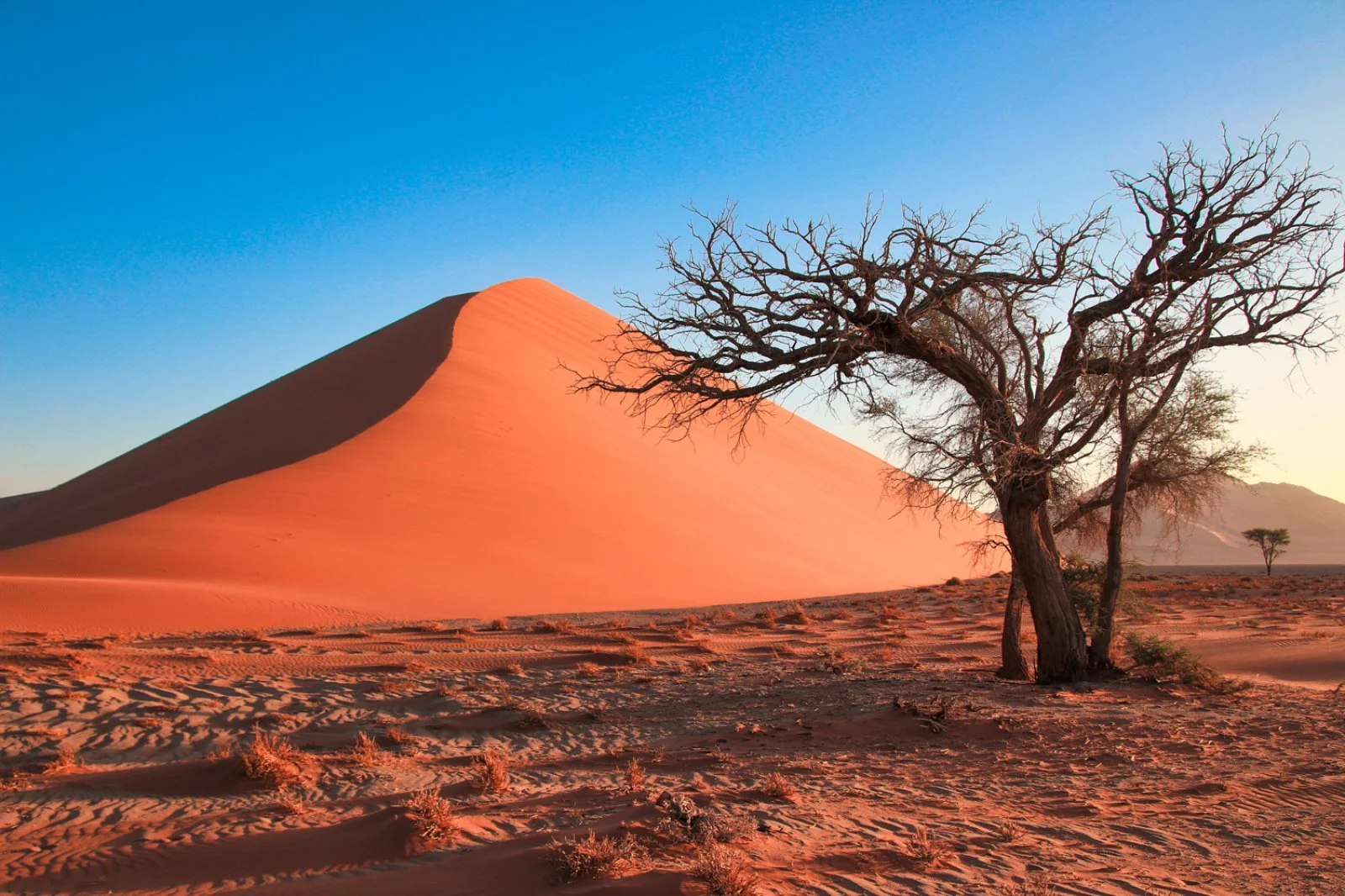 Parco Nazionale Namib Naukluft - immagine 1 di 2