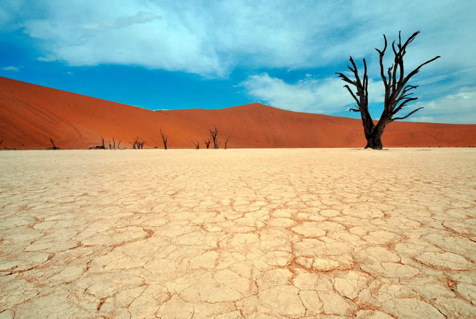 Parco Nazionale Namib Naukluft