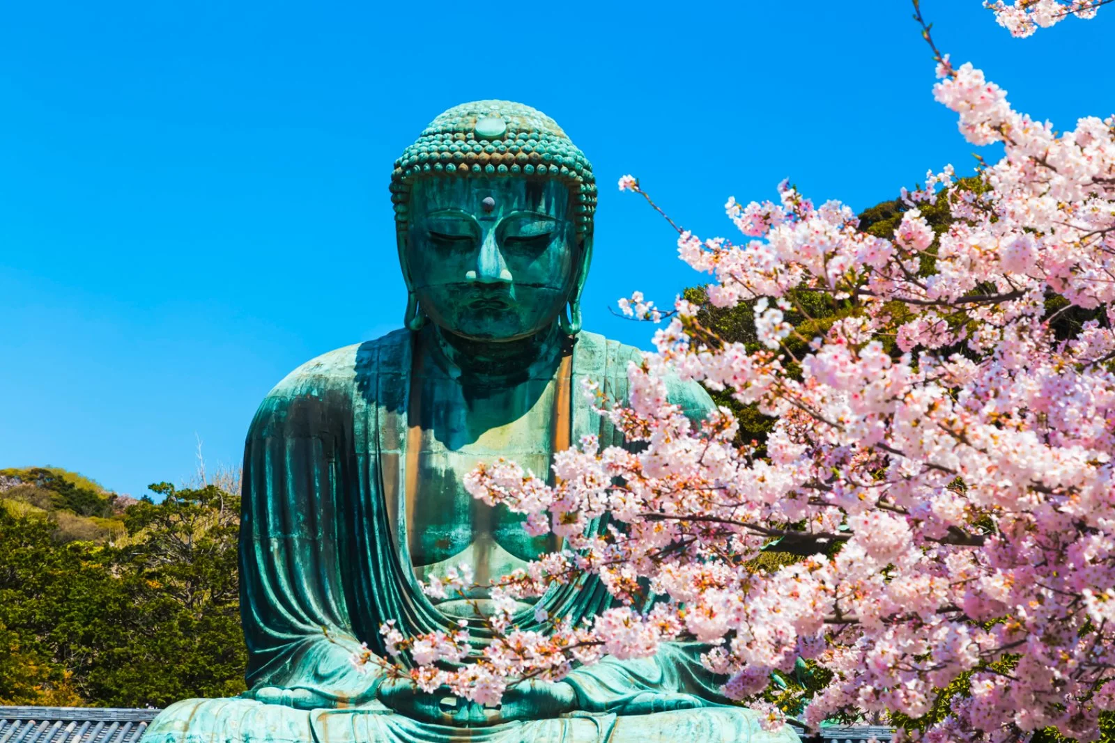 Tokyo - Kamakura - Tokyo
