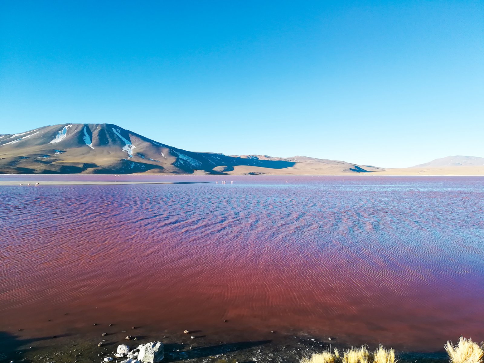 Da Uyuni A San Pedro 