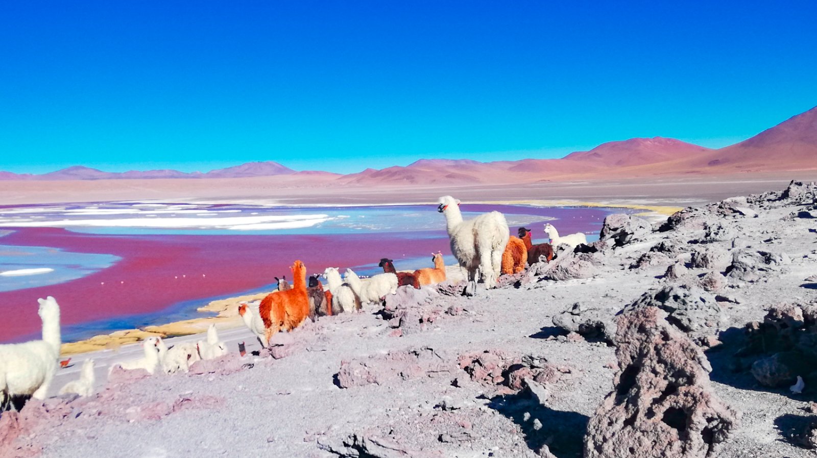 Da Uyuni A San Pedro - Laguna Colorada