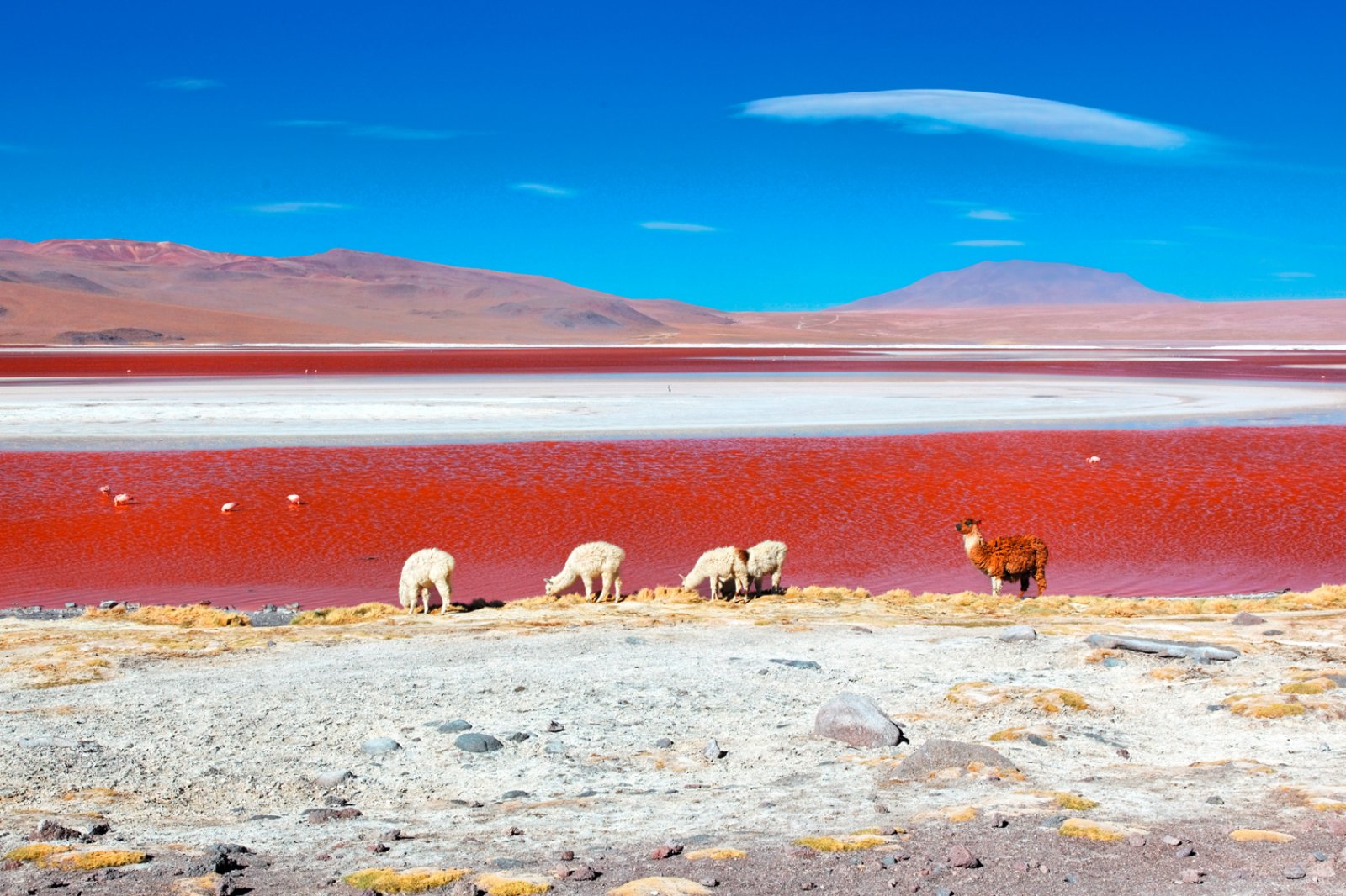 Da Uyuni A San Pedro - Laguna Colorada