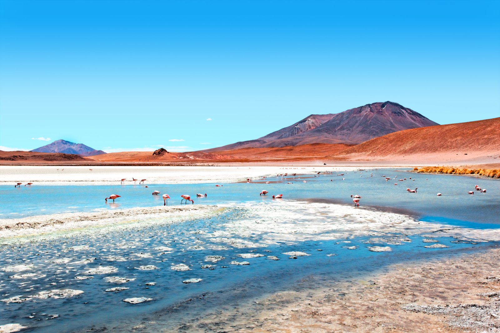 Uyuni E Le Lagune Altiplaniche - Laguna Canapa