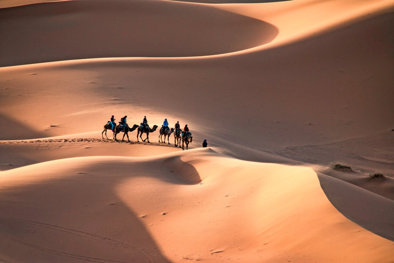 In 4x4 Tra Le Dune 