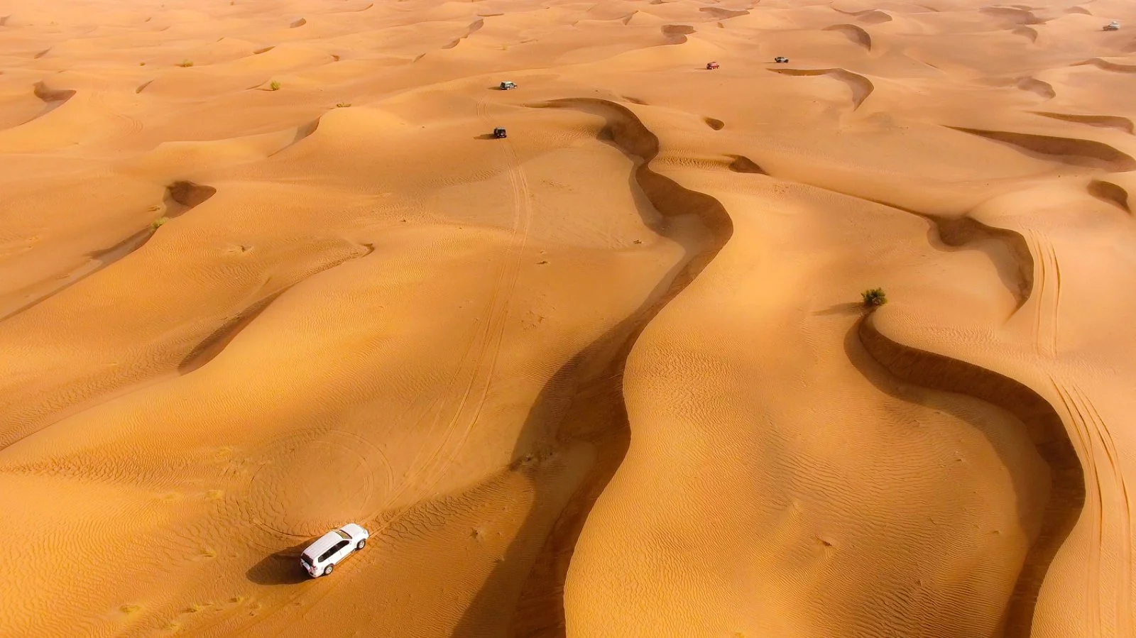 Dubai - immagine 1 di 2