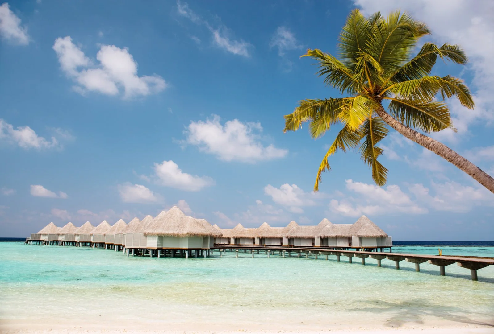 Maldive - immagine 2 di 2