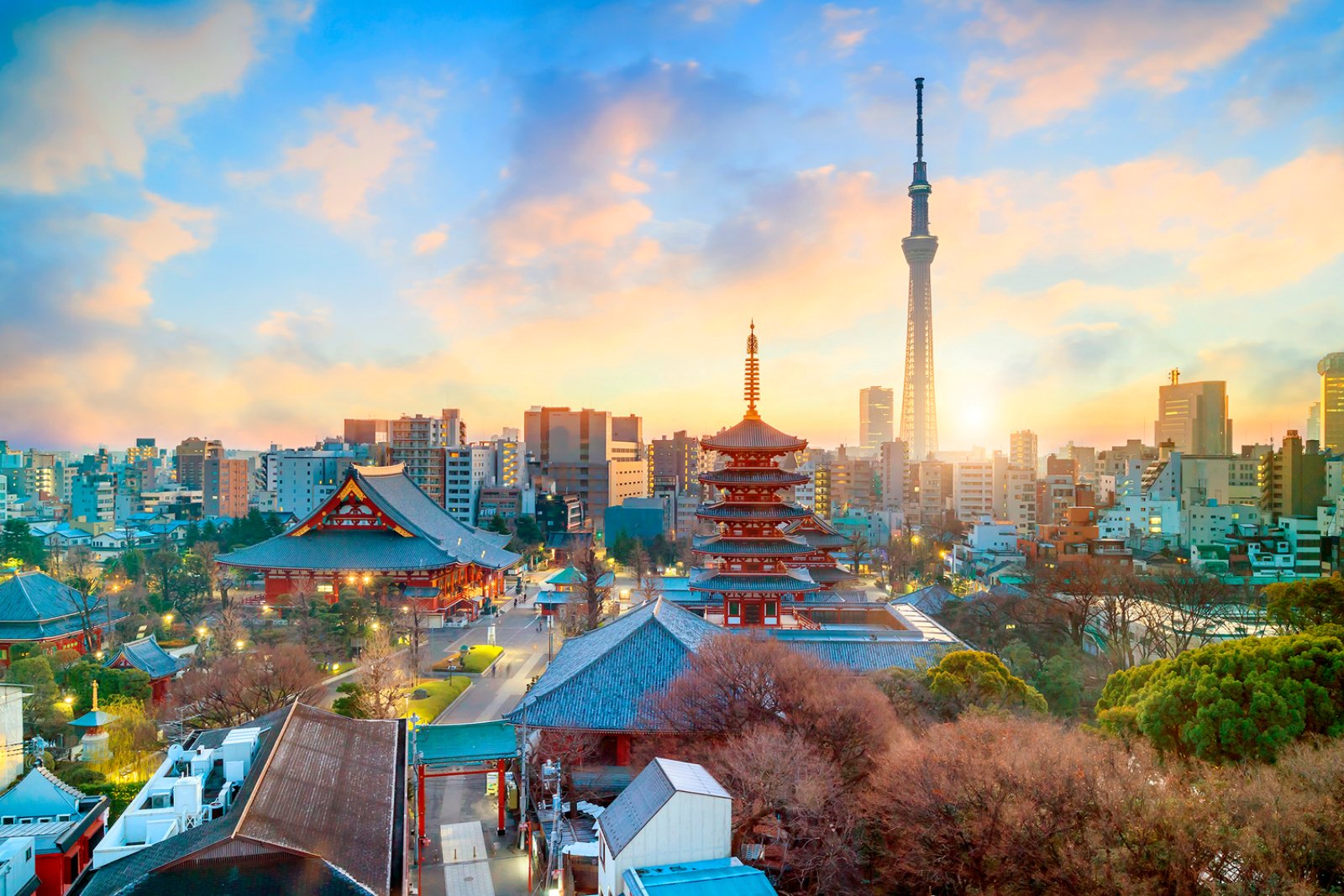 Giappone E Polinesia - Tokyo, Giappone