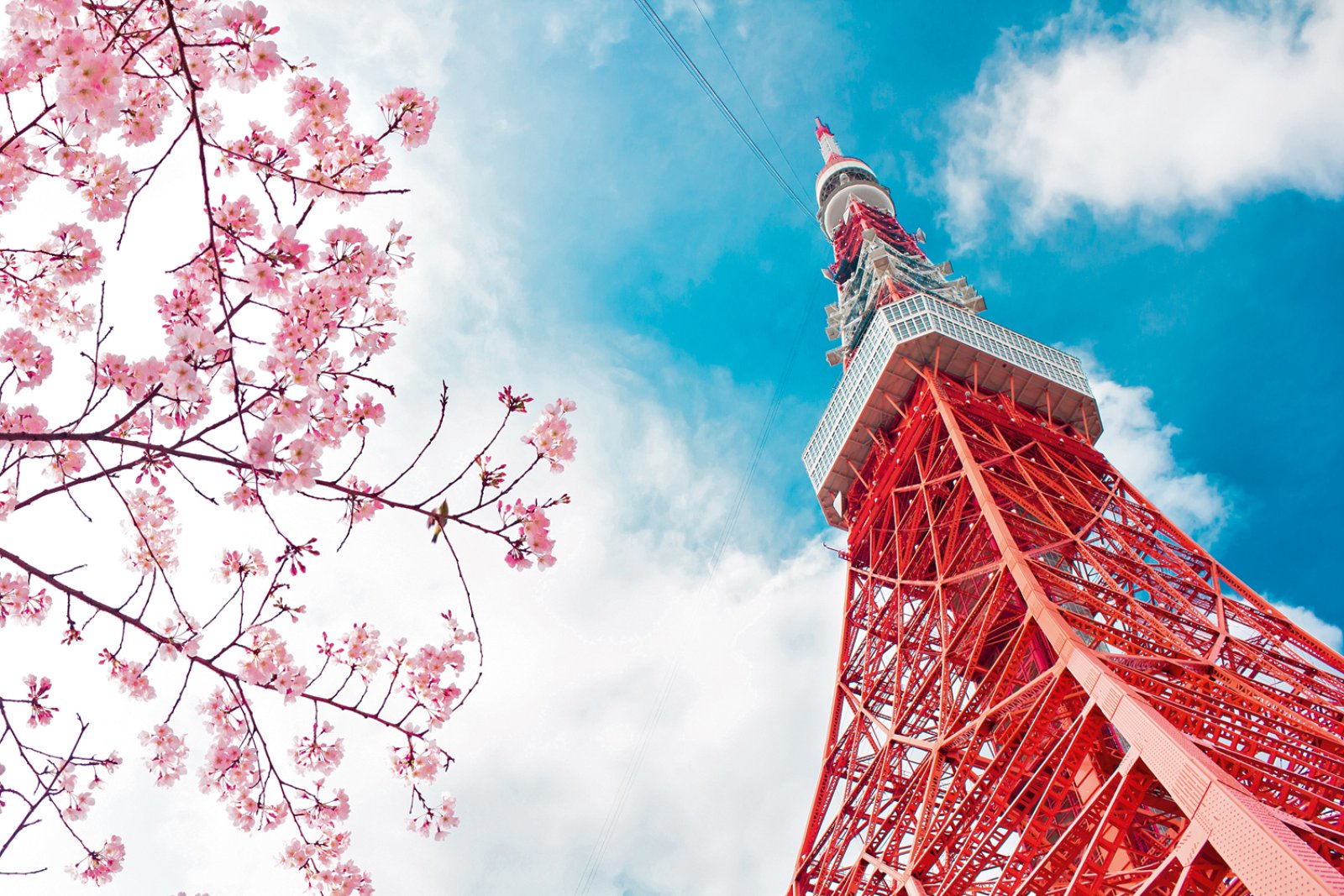 Giappone E Polinesia - Tokyo, Giappone