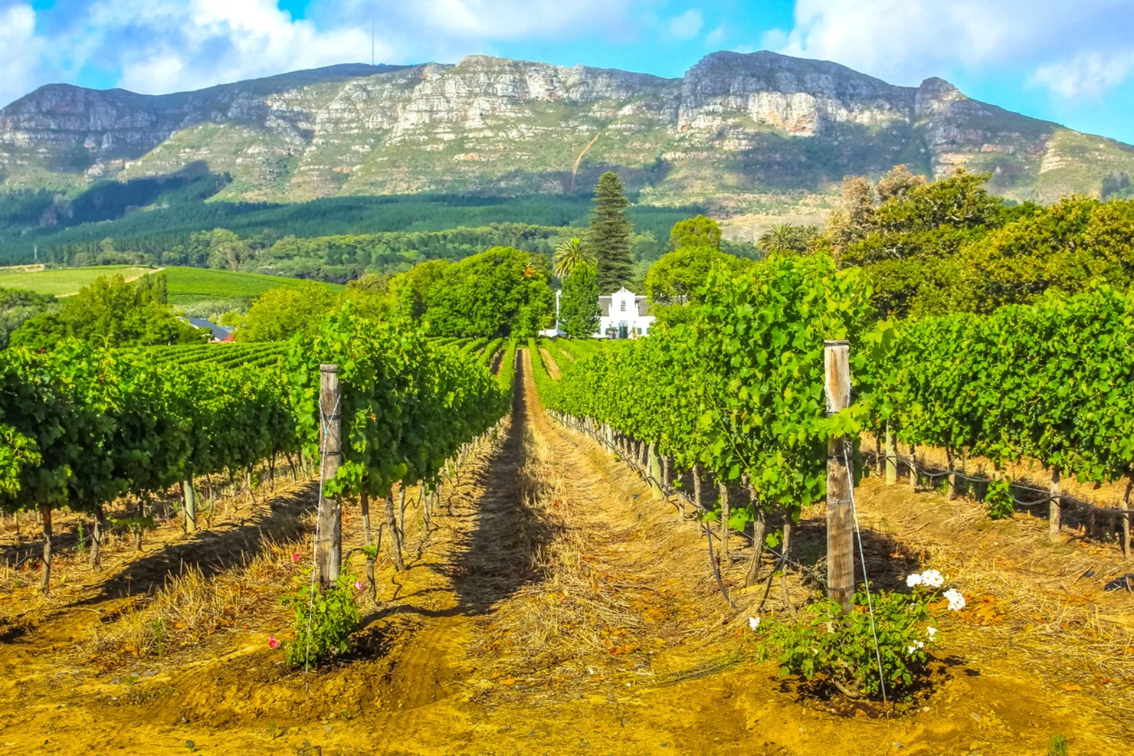 Città del Capo - immagine 1 di 2