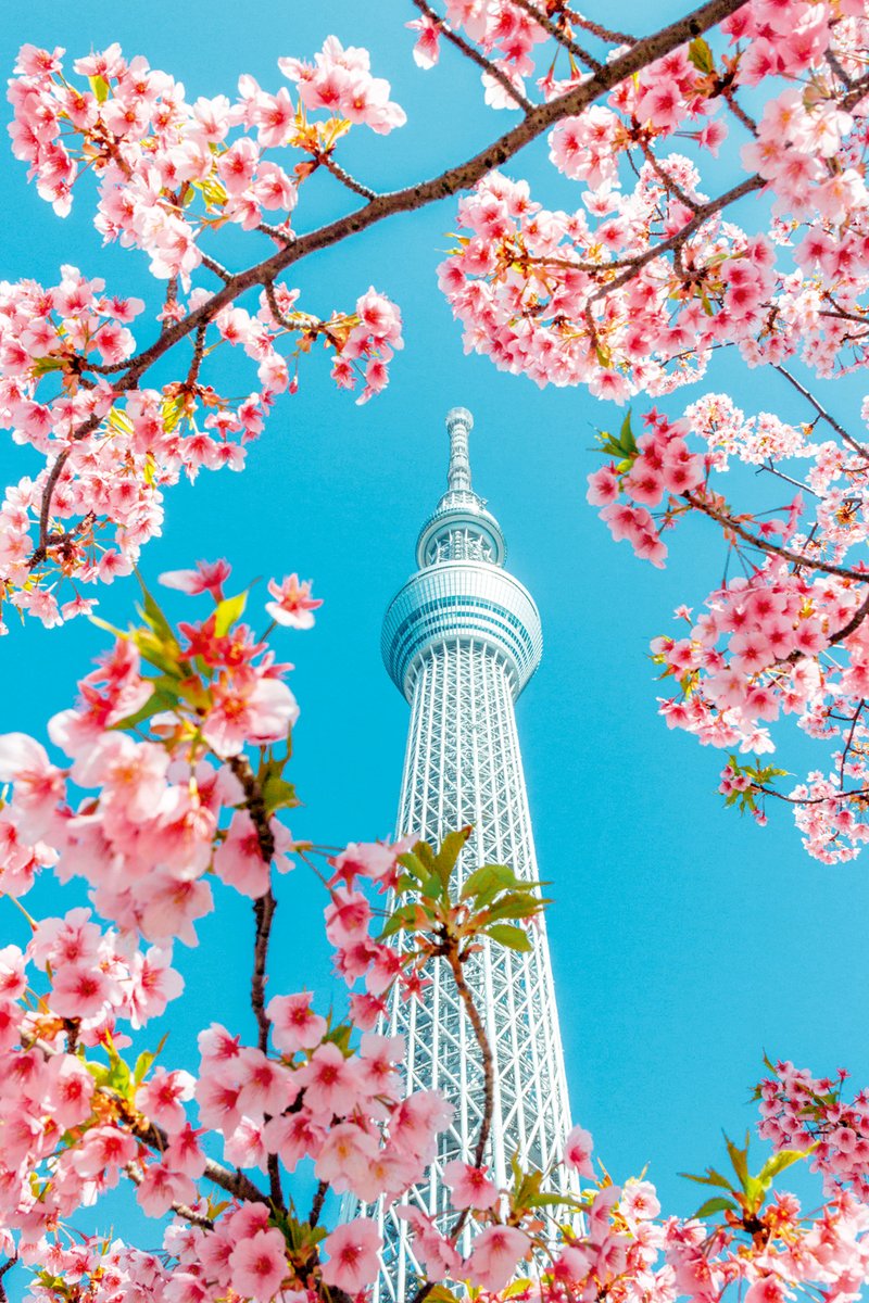 Giappone Zen - Tokyo, Giappone