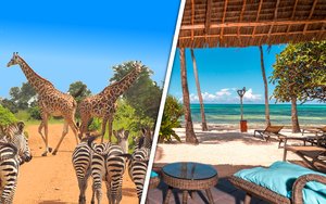 Circuit Safari Saadani et Séjour SeaClub Karafuu Beach Resort & Spa 5* Zanzibar - Départs Garantis