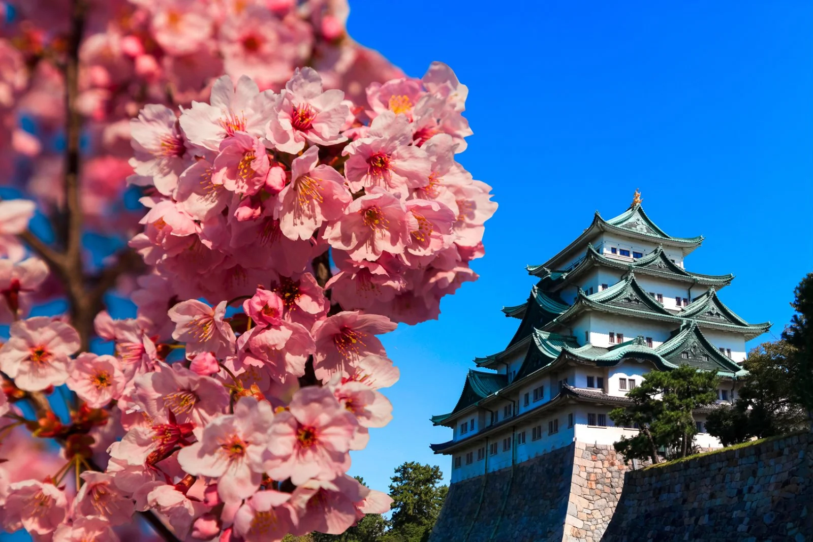 Nagoya - Magome - Tsumago - Nagoya